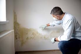 Professional Mold Removal & Remediation in Southside, AR